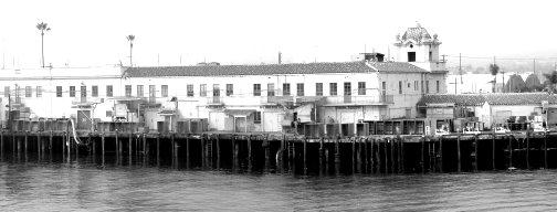 FISH MARKET Ischia